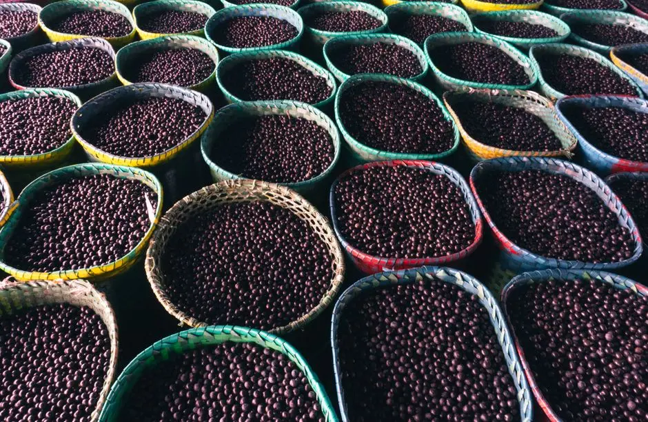 Wajik ketan hitam sebagai contoh makanan khas hits yang viral